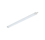 PHILIPS Oprawa wodoszczelna LEDINAIRE WT060C LED36S/840 PSU L=1200mm 3600lm Biała neutralna